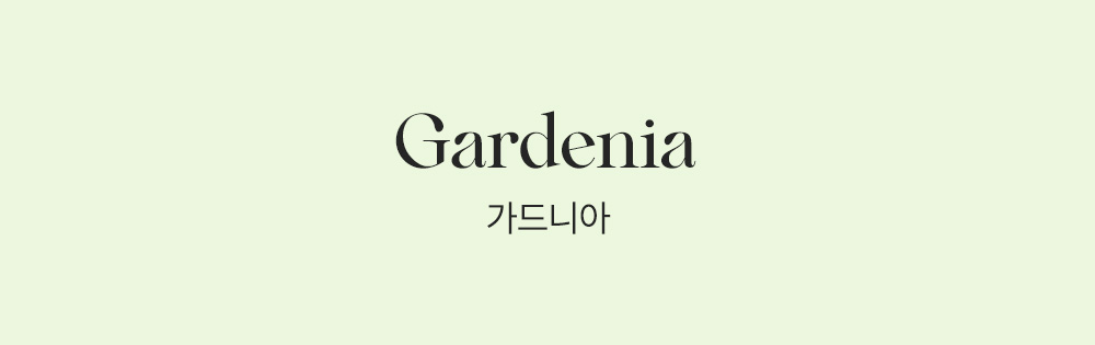 디테일