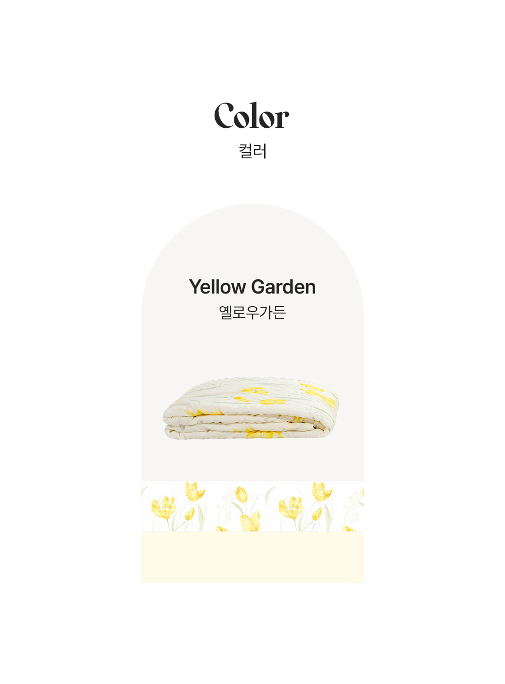 컬러